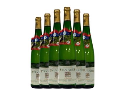 Vinho branco EXPERT CLUB Sylvaner Alsace (0.75 L - 6 Unidades)