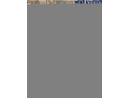 Livro Mesopotamia de Erika Roboz (Inglês - Capa Dura)