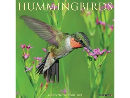 Livro Hummingbirds 2025 12 X 12 Wall Calendar de Willow Creek Press (Inglês)