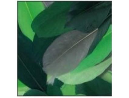 Corte de penas de ganso - Camaïeu Vert