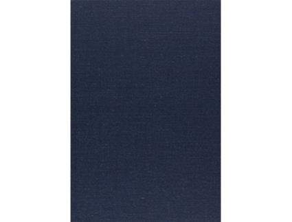 Livro Apostolic Church of the Pleroma Clergy Handbook de Tau Phosphoros (Inglês)