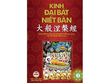 Livro Kinh Ð?i Bát Ni?t Bàn T?p 3 T? quy?n 21 d?n quy?n 31 B?n in nam 2017 Vietnamese Edition de Nguyen Minh Tien (Vietnamita)