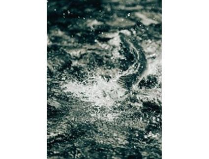 Livro Bruno Augsburger - Gone Fishing de Bruno Augsburger (Inglês - Capa Dura)