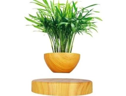 Vaso de madeira com levitação magnética - YWEI - Diâmetro 15cm - Redondo YWEI