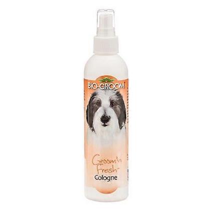 Bio-Groom Bio Groom Groom N Fresh Colônia, 8 oz (Pacote de 1)