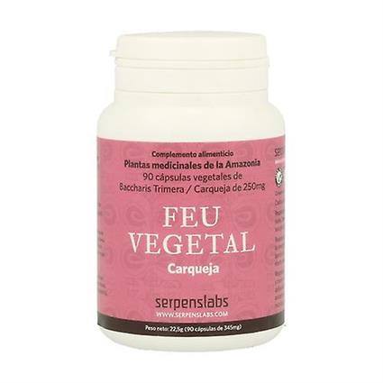 Serpens-Aborigen Feu Vegetal (La Carqueja) 90 capsules