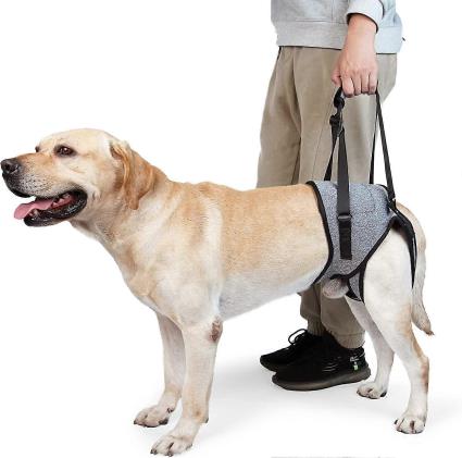 Estilingue de cão para cães grandes apoio das patas traseiras para ajudar a reabilitar os membros posteriores de cães idosos com deficiências fraca...