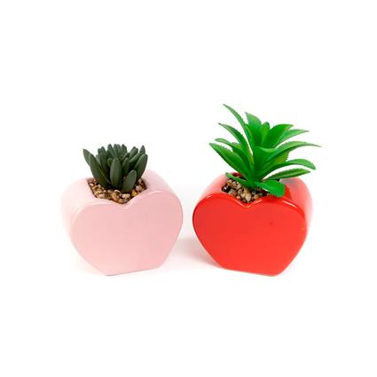 Vaso Coração Cactus Sortido