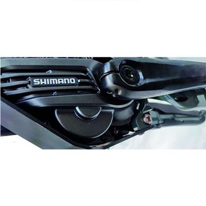 Avs Racing Protetor De Motor Commençal 2022