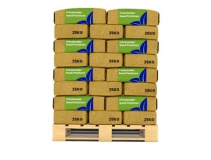 Batata De Semente - Frieslander A 28/35 - 40x 1000kg - Organifer