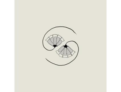 GODSPEED YOU! BLACK EMPEROR - G_ds Pee At States End! CD 2021