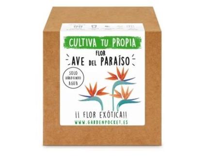 Kit plantio Flor Ave-do-Paraíso, Garden Pocket.
