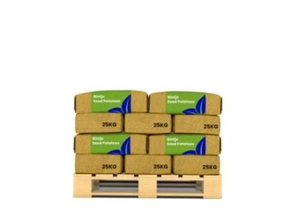 Batata De Semente - Bintje A 28/35 - 500 Kg - Organifer