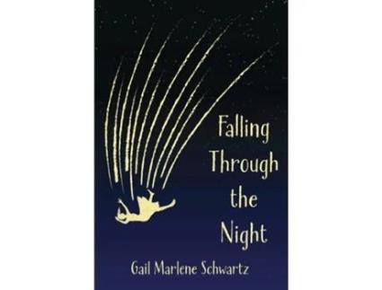 Livro Falling Through the Night de Gail Marlene Schwartz (Inglês)