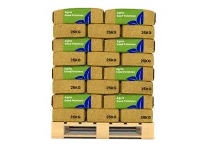 Batata De Semente - Agria A 28/35 - 1000 Kg - Organifer
