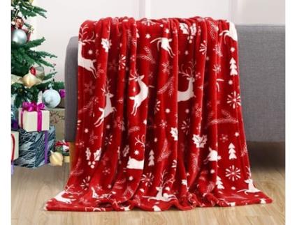 Cobertor FITAGS Velours Doux Déation Maison (40x25x10cm)