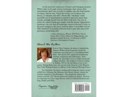 Livro it was never Eden Jeanette Willert (Inglês)