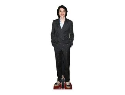 Objeto Decorativo Star Cutouts - Cs999 - Finn Wolfhard Life-size Cardboard Silhouette With Mini Black Cutout