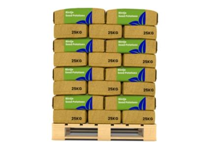 Batata De Semente - Bintje A 28/35 - 1000 Kg - Organifer
