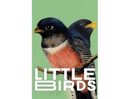 Livro Little Birds de Shy Watson (Inglês)