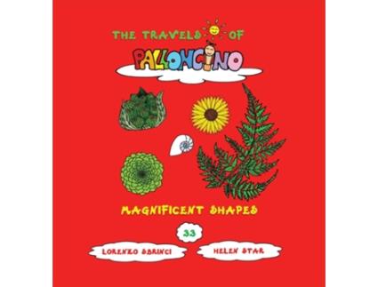 Livro Magnificent shapes de Helen Star (Inglês)