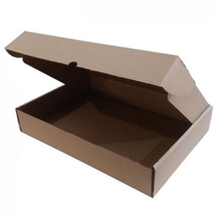 Caixa Expedição Auto-Montável 219x136x052mm Cartão Micro (0,0015m3) 1un