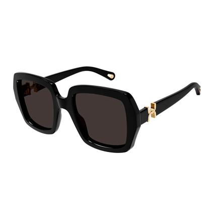 Chloe Sunglasses Óculos de sol para mulheres Recycled Sunglasses Ch0301S