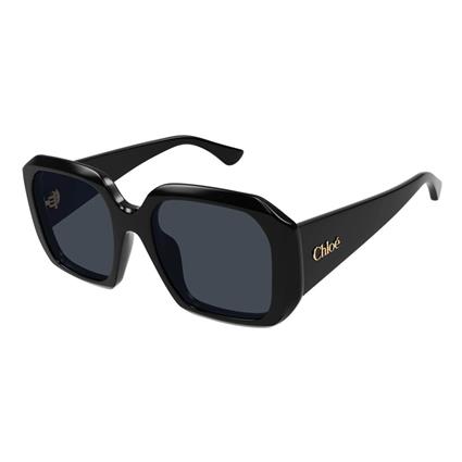Chloe Sunglasses Óculos de sol para mulheres Sunglasses Ch0300S