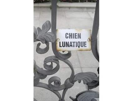 Livro Chien Lunatique Poems De Christopher Bernard (inglês)