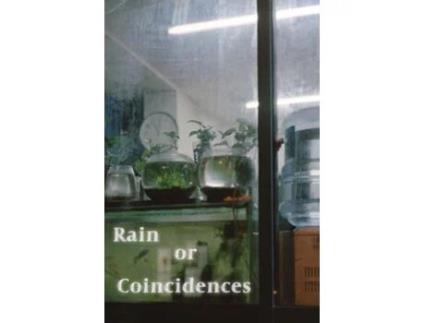 Livro Rain or Coincidences de Xinyu Liu (Inglês)