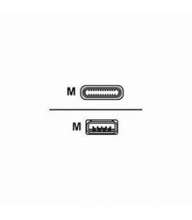 Cabo USB - USB Tipo A (M) Para USB-C (M) - USB 3.0 - 1.15 M