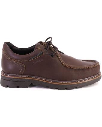 Sapatos de Homem BAERCHI 2083 ZAPATOS CON CORDONES DE HOMBRE PIEL MARRON