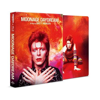 Dvd Dvd Moonage Daydream