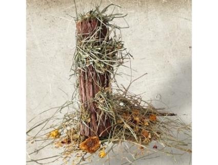 Tronco Recheado De Feno Snack Para Coelhos E Roedores Pequeno RIBERO