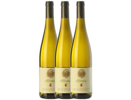 Abbazia di Novacella Riesling Alto Adige 75 cl (Caixa de 3 unidades)