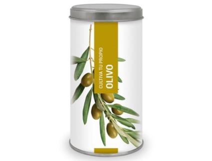 Cultiva A Tua Própria Oliveira