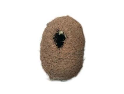 Ninho para Pássaro Exótico Oval de Coco Pequeno