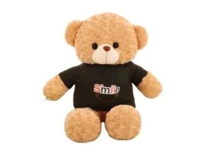 Câmera Espiã Hd 1080P Wifi Urso de Pelúcia com Som EUROWEB