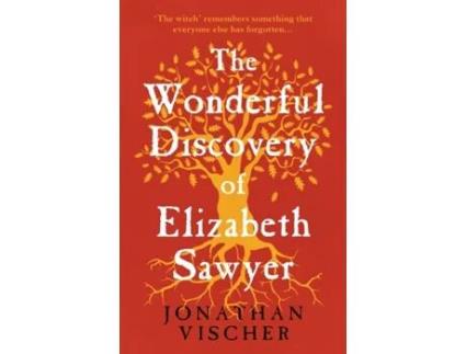 Livro The Wonderful Discovery Of Elizabeth Sawyer De Jonathan Vischer (inglês)