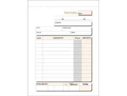 Livro Paq/10 Talonarios De Facturas Folio Natural Duplicado Igic De Desconocido (espanhol)