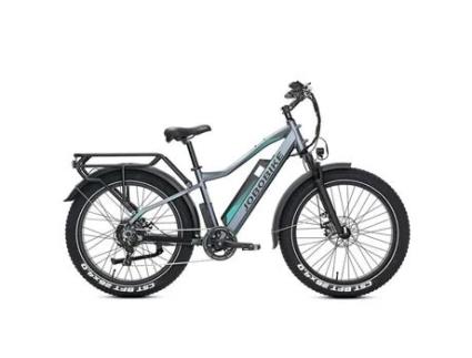 Bicicleta Elétrica Jobobike Robin 48v Fatbike 26 14ah 250w Cinza