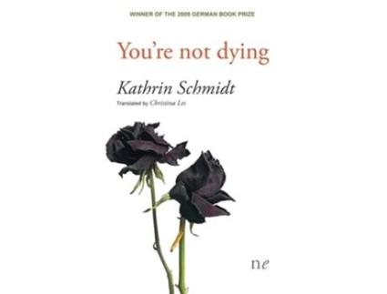 Livro Youre Not Dying De Kathrin Schmidt (inglês)