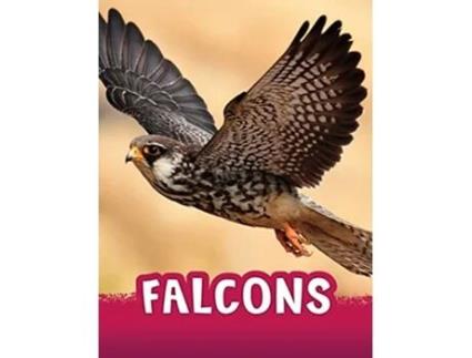 Livro Falcons De Jaclyn Jaycox (inglês - Capa Dura)