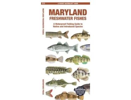 Livro Maryland Freshwater Fishes De Matthew Morris Matthew Morris (inglês)