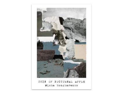 Livro Skin Of Nocturnal Apple De Misha Honcharenko (inglês)