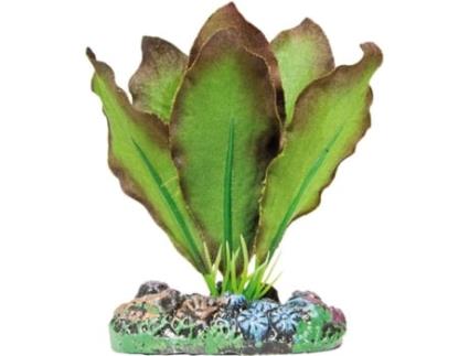 Adorno AQUATIC PLANTS Anubias Bronceada (3 kg)