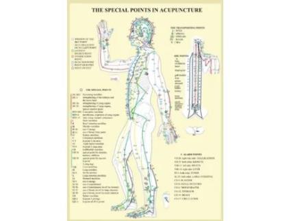 Livro Special Points In Acupunture -- A4 De Jan Van Baarle (inglês)