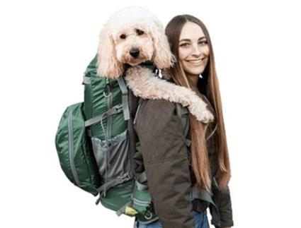 Mochila transportadora para cães Kolossus Big, L Verde K9 Sport Sack®