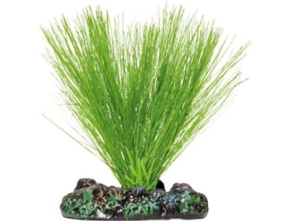 Adorno AQUATIC PLANTS Miriophyllum S (2 kg)