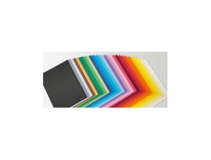 Livro Paq/120 Cartulinas Iris 50x65 185g. Surtido 12 Colores Pastel De Desconocido (espanhol)